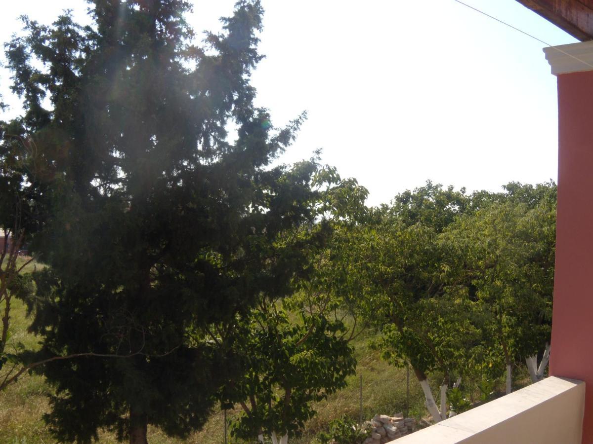 Antigoni